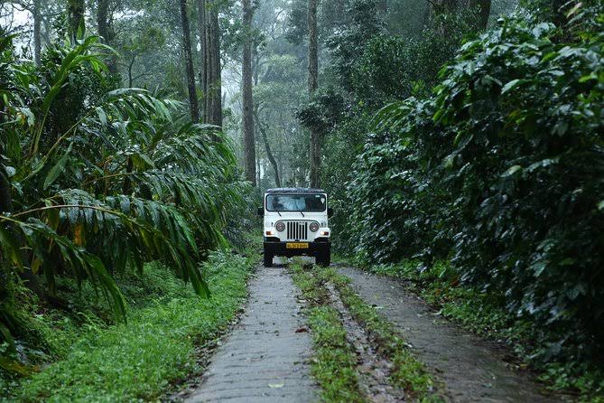 munnar jeep safari photos